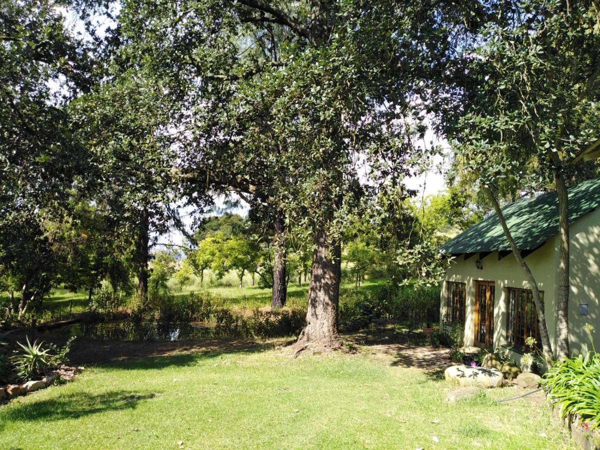 Tegwaan Country Getaway Vila Waterval Boven Quarto foto