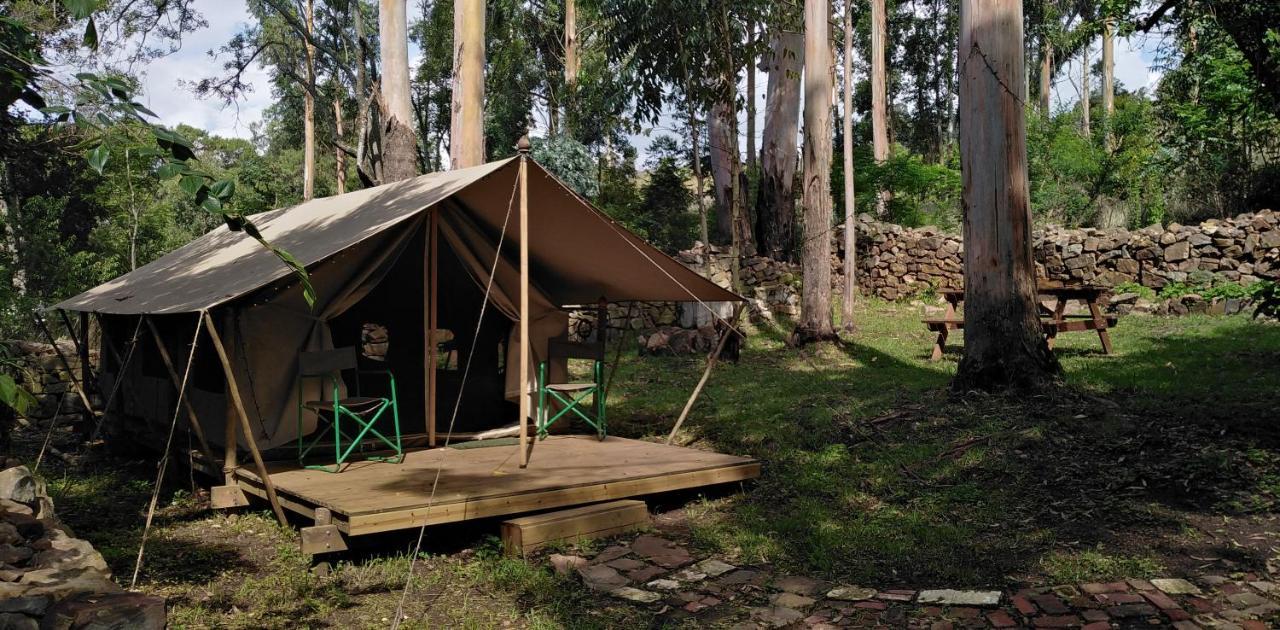 Tegwaan Country Getaway Vila Waterval Boven Exterior foto
